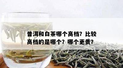 普洱和白茶哪个高档？比较高档的是哪个？哪个更贵？