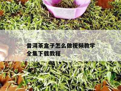 普洱茶盒子怎么做视频教学全集下载教程