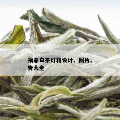 福鼎白茶灯箱设计、图片、告大全