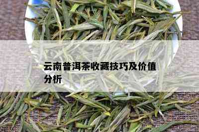 云南普洱茶收藏技巧及价值分析