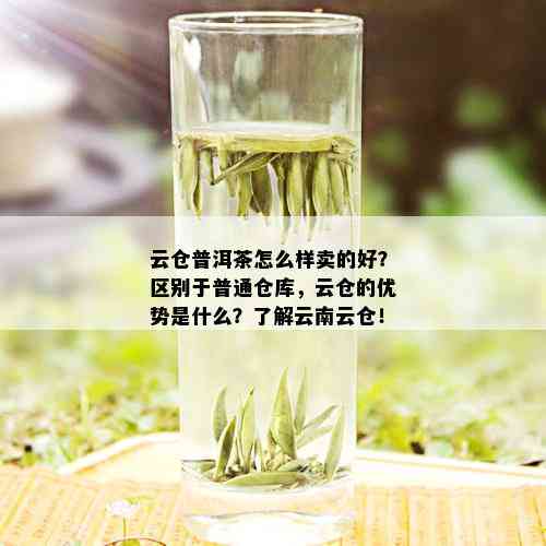 云仓普洱茶怎么样卖的好？区别于普通仓库，云仓的优势是什么？了解云南云仓！