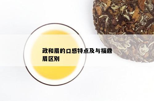 政和眉的口感特点及与福鼎眉区别