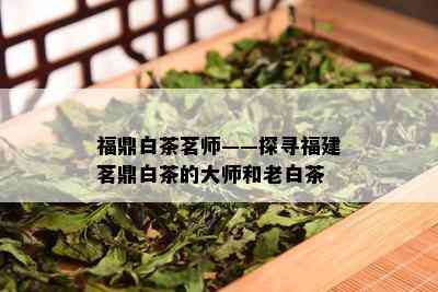 福鼎白茶茗师——探寻福建茗鼎白茶的大师和老白茶