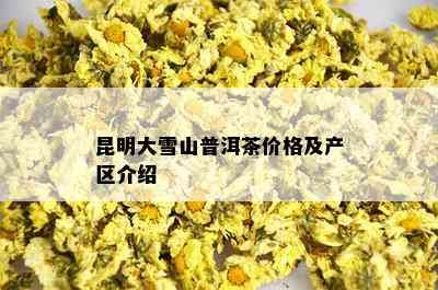 昆明大雪山普洱茶价格及产区介绍