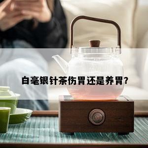 白毫银针茶伤胃还是养胃？