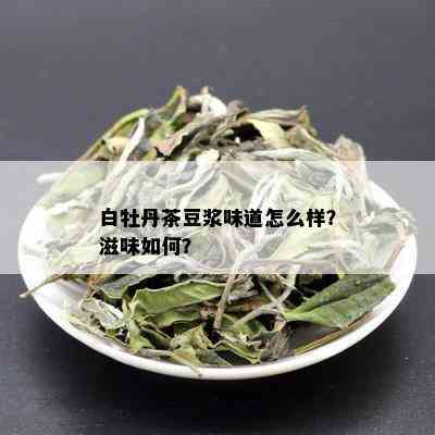 白牡丹茶豆浆味道怎么样？滋味如何？