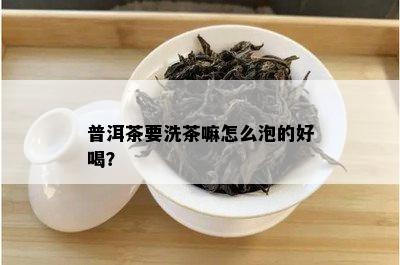 普洱茶要洗茶嘛怎么泡的好喝？