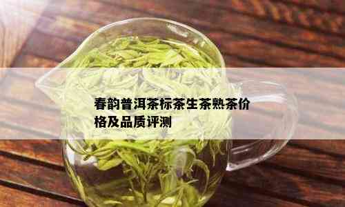 春韵普洱茶标茶生茶熟茶价格及品质评测