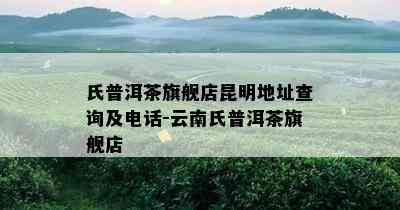 氏普洱茶旗舰店昆明地址查询及电话-云南氏普洱茶旗舰店