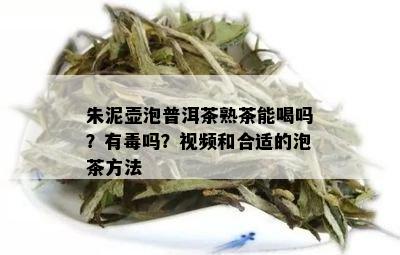 朱泥壶泡普洱茶熟茶能喝吗？有吗？视频和合适的泡茶方法