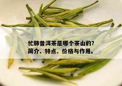 忙肺普洱茶是哪个茶山的？简介、特点、价格与作用。