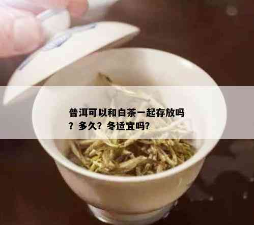 普洱可以和白茶一起存放吗？多久？冬适宜吗？