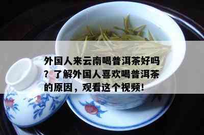 外国人来云南喝普洱茶好吗？了解外国人喜欢喝普洱茶的原因，观看这个视频！