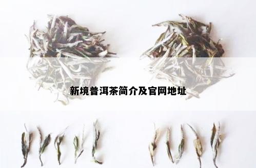 新境普洱茶简介及官网地址