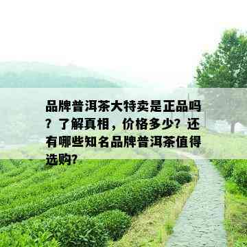 品牌普洱茶大特卖是正品吗？了解真相，价格多少？还有哪些知名品牌普洱茶值得选购？