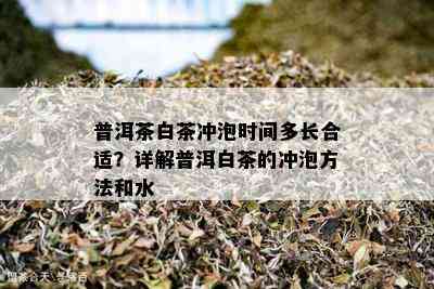 普洱茶白茶冲泡时间多长合适？详解普洱白茶的冲泡方法和水