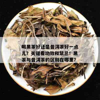 喝黑茶好还是普洱茶好一点儿？关键看功效和禁忌！黑茶与普洱茶的区别在哪里？