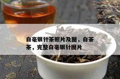 白毫银针茶照片及图，白茶茶，完整白毫银针图片