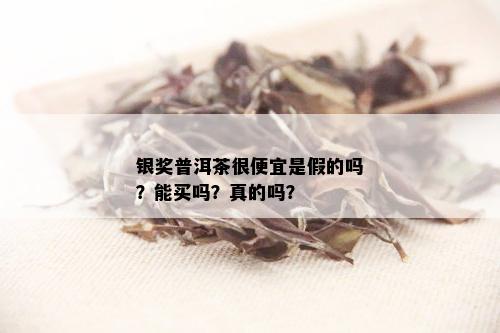 银奖普洱茶很便宜是假的吗？能买吗？真的吗？