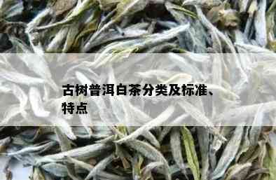 古树普洱白茶分类及标准、特点