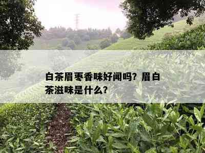 白茶眉枣香味好闻吗？眉白茶滋味是什么？