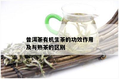 普洱茶有机生茶的功效作用及与熟茶的区别