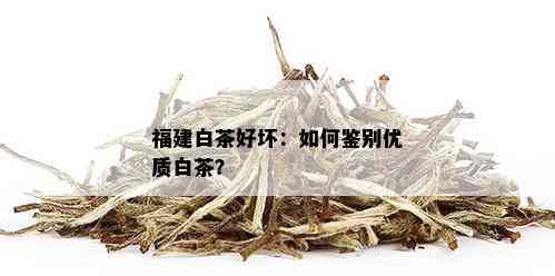 福建白茶好坏：如何鉴别优质白茶？