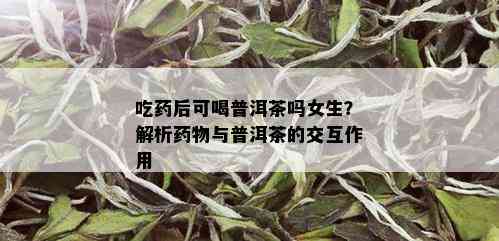 吃后可喝普洱茶吗女生？解析物与普洱茶的交互作用