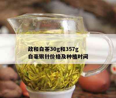 政和白茶30g和357g白毫银针价格及种植时间