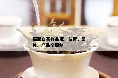 福鼎白茶样品库：位置、图片、产品全揭秘