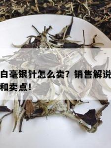 白毫银针怎么卖？销售解说和卖点！