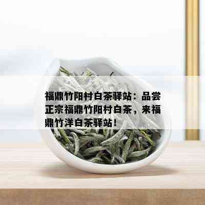 福鼎竹阳村白茶驿站：品尝正宗福鼎竹阳村白茶，来福鼎竹洋白茶驿站！