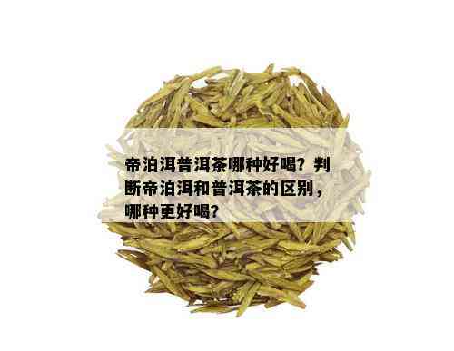 帝泊洱普洱茶哪种好喝？判断帝泊洱和普洱茶的区别，哪种更好喝？