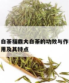 白茶福鼎大白茶的功效与作用及其特点