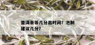 普洱茶等几分出时间？泡制建议几分？