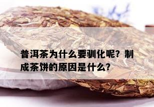 普洱茶为什么要驯化呢？制成茶饼的原因是什么？