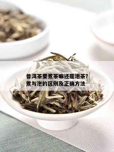 普洱茶要煮茶嘛还是泡茶？煮与泡的区别及正确方法