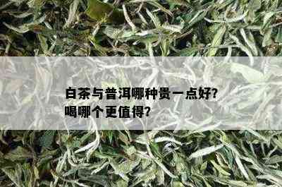 白茶与普洱哪种贵一点好？喝哪个更值得？