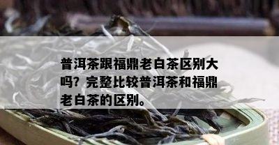 普洱茶跟福鼎老白茶区别大吗？完整比较普洱茶和福鼎老白茶的区别。