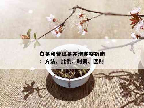 白茶和普洱茶冲泡完整指南：方法、比例、时间、区别