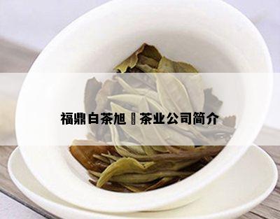 福鼎白茶旭昇茶业公司简介