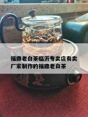 福鼎老白茶临沂专卖店有卖厂家制作的福鼎老白茶