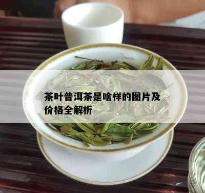 茶叶普洱茶是啥样的图片及价格全解析