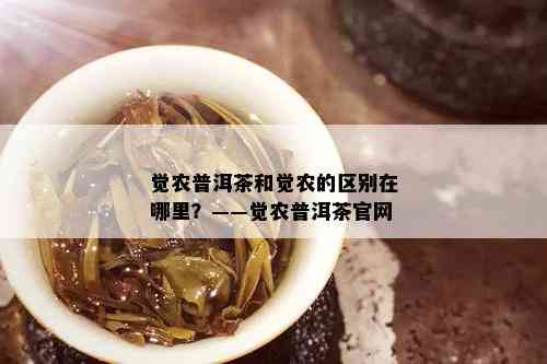 觉农普洱茶和觉农的区别在哪里？——觉农普洱茶官网