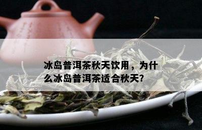 冰岛普洱茶秋天饮用，为什么冰岛普洱茶适合秋天？