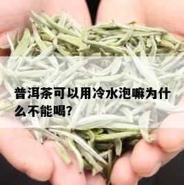 普洱茶可以用冷水泡嘛为什么不能喝？