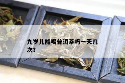 九岁儿能喝普洱茶吗一天几次？