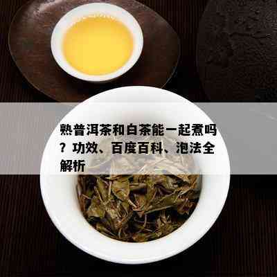 熟普洱茶和白茶能一起煮吗？功效、百度百科、泡法全解析