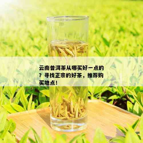 云南普洱茶从哪买好一点的？寻找正宗的好茶，推荐购买地点！