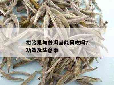 柑胎果与普洱茶能同吃吗？功效及注意事